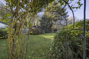 Photo 17- click for photo gallery